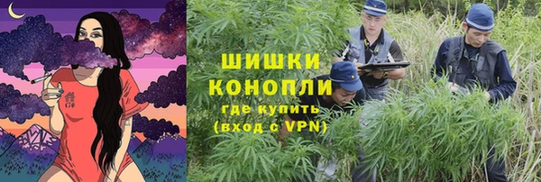 2c-b Алзамай